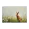 Stupell Industries Brown Rabbit with Daisies Canvas Wall Art